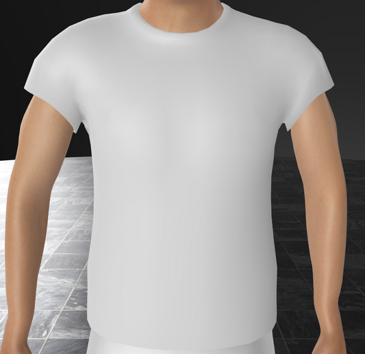 Shirt 2D Basic Demo